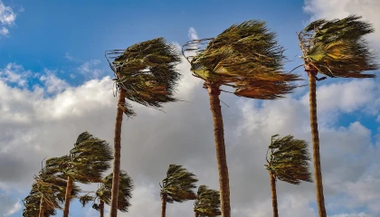 Los Angeles’ta Hafta Sonu Fırtına ve Sel Riski
